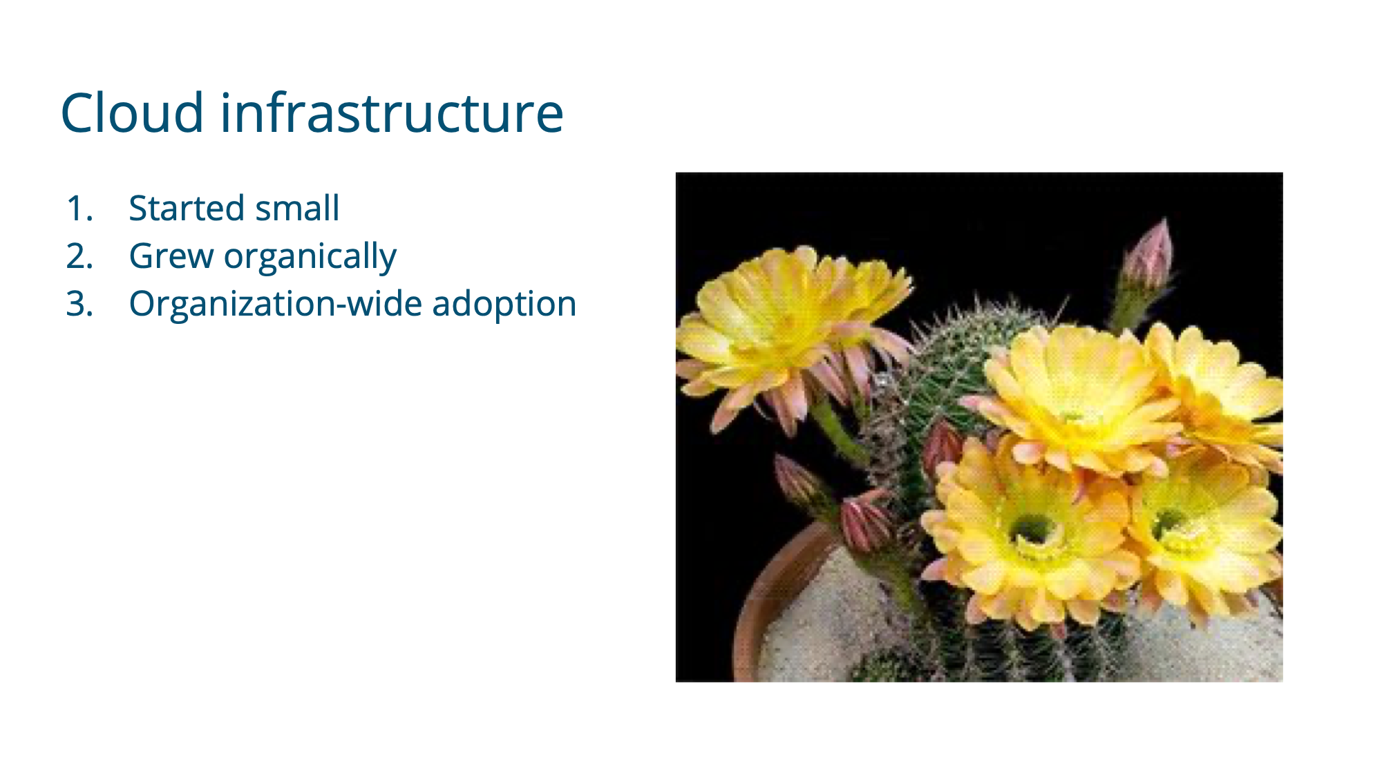 Slide 48